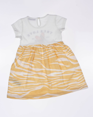 2024_03_27_0087934 2024_03_27_0087934