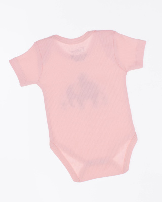 2024_01_24_0083949 2024_01_24_0083949